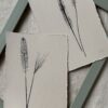 Fountain Grasse Botanical Monoprint